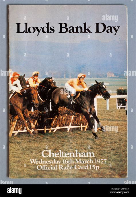 cheltenham festival race card